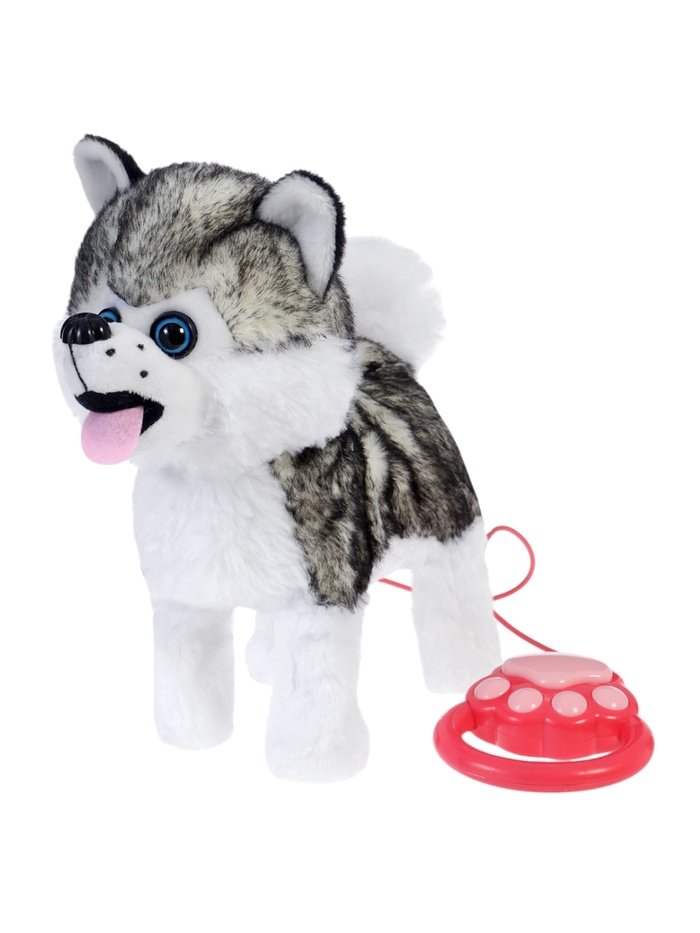 WALKING DOG WITH REMOTE